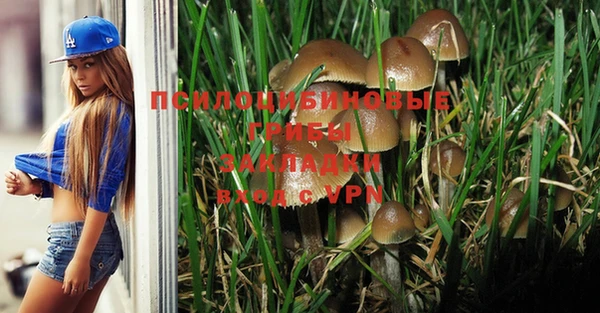 MDMA Premium VHQ Зеленодольск